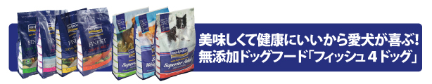 美味しくて健康にいいから愛犬が喜ぶ!無添加ドッグフード「フィッシュ4ドッグ」