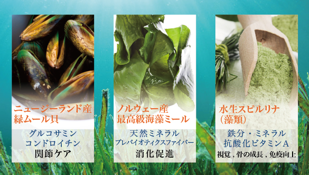 天然由来のサプリメント